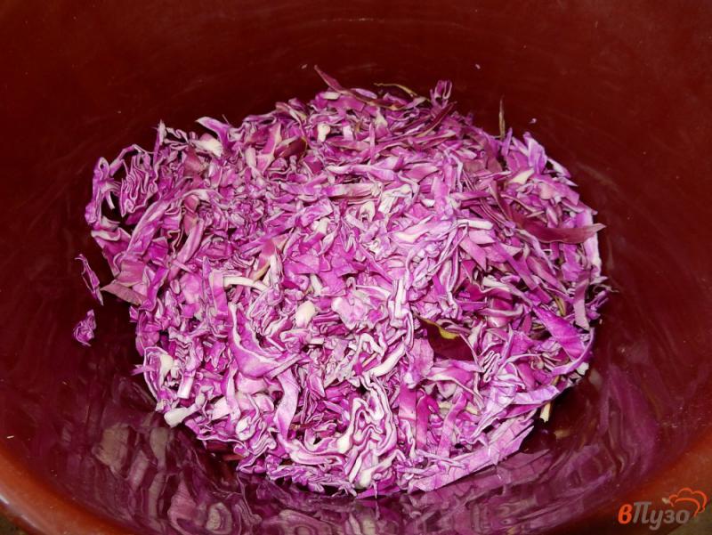 Фото приготовление рецепта: Маринованная краснокачанная капуста впрок шаг №2