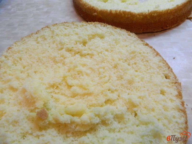 Фото приготовление рецепта: Бисквитный торт с творожно-банановой прослойкой шаг №5