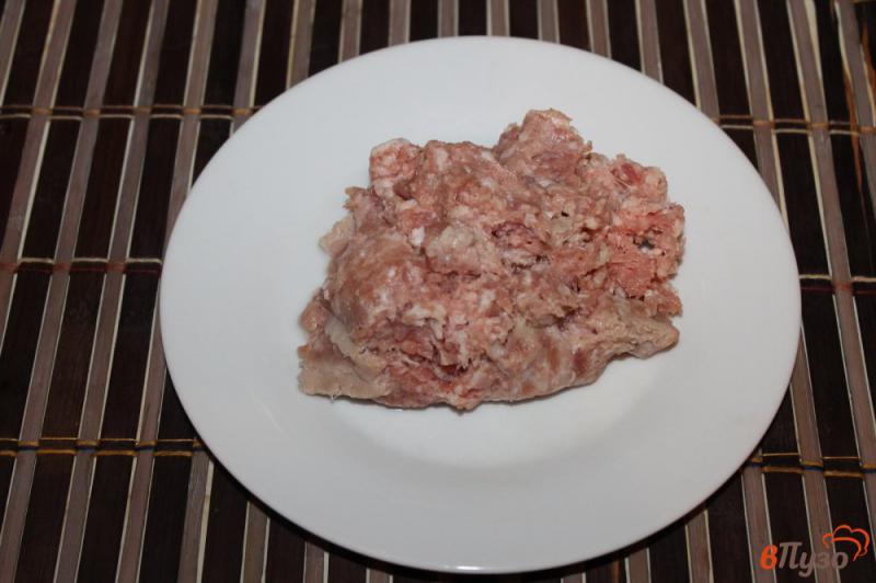 Фото приготовление рецепта: Котлеты из свинины с зеленым луком под грибным соусом шаг №1