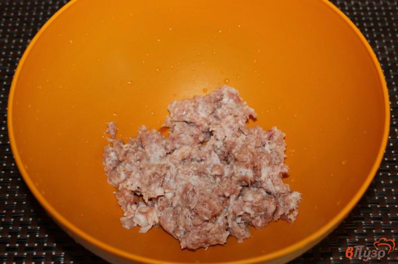 Фото приготовление рецепта: Мясные котлеты с картофелем и зеленым луком шаг №1