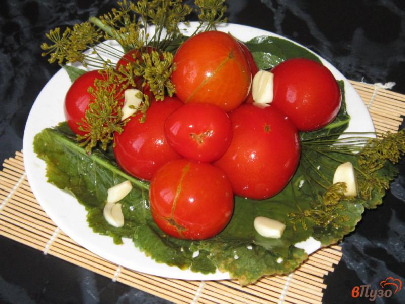 Фото приготовление рецепта: Квашеные помидоры как в детстве шаг №5