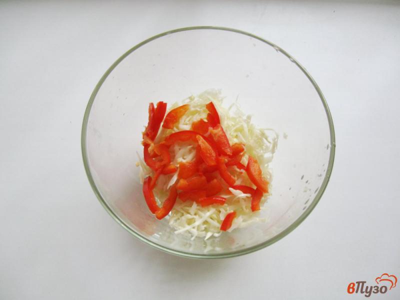 Фото приготовление рецепта: Салат с капустой и болгарским перцем шаг №1