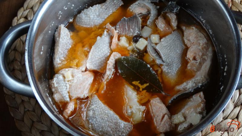 Фото приготовление рецепта: Суп с форелью и макаронами шаг №2
