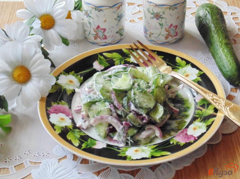 Фото приготовление рецепта: Салат из огурцов и красного лука шаг №6