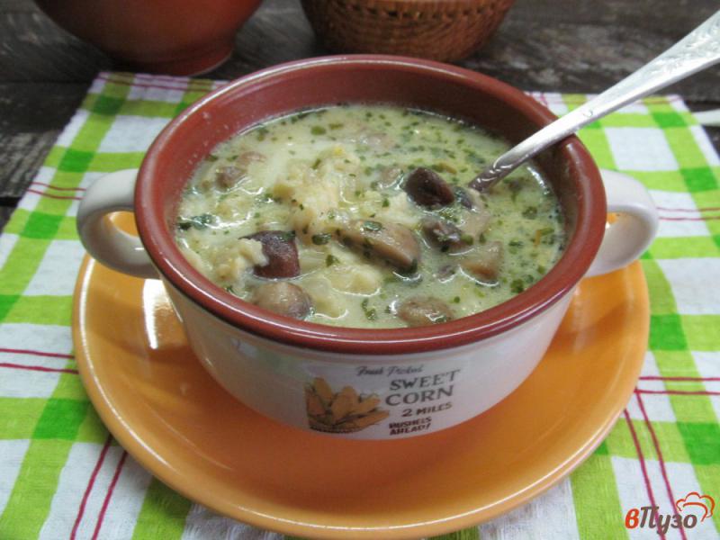 Фото приготовление рецепта: Суп грибной с клецками шаг №10