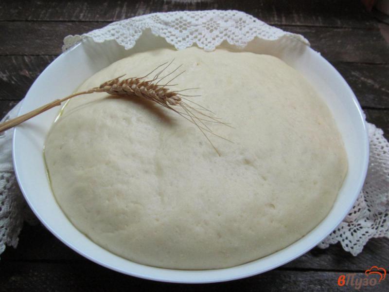 Фото приготовление рецепта: Тесто для пирожков на растительном масле и молоке с яйцами шаг №9