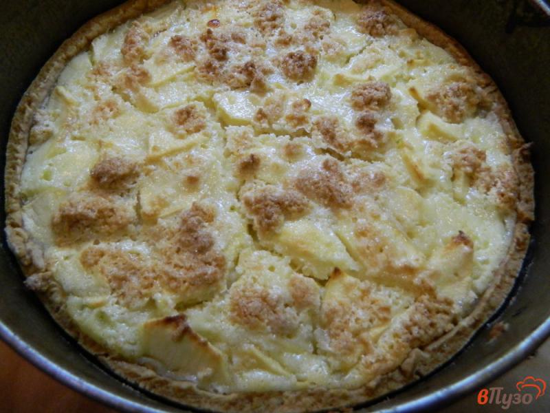 Фото приготовление рецепта: Царский яблочный пирог шаг №9