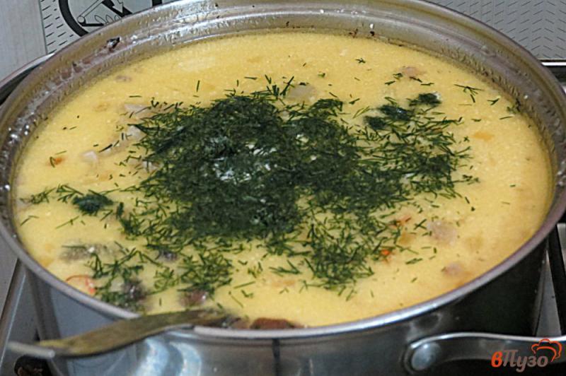 Фото приготовление рецепта: Суп на свиных рёбрах с опятами, горошком и сметаной шаг №10