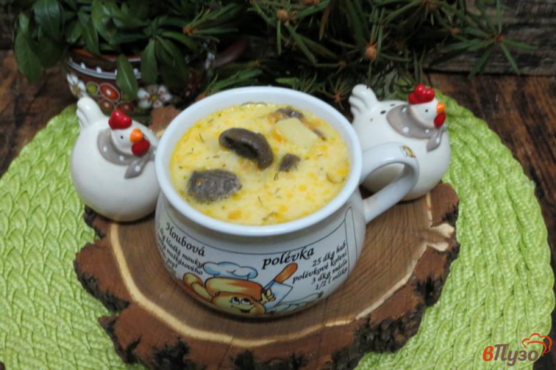Фото приготовление рецепта: Суп с солёными маслятими и плавлеными сырками шаг №9