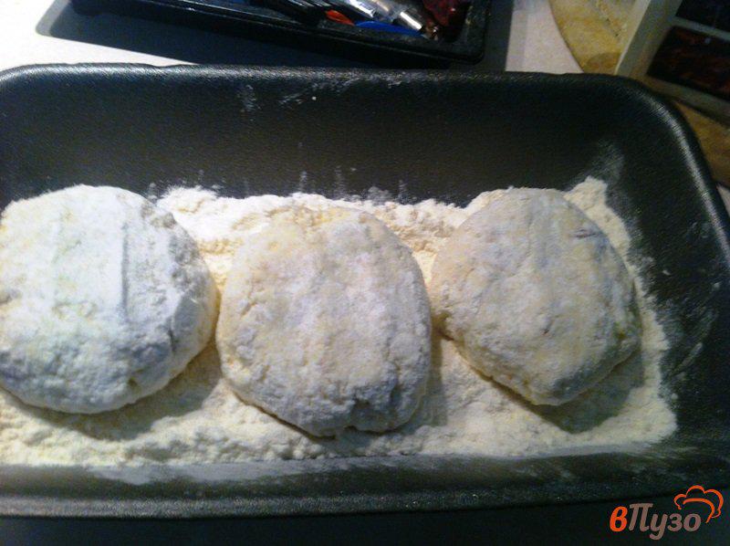 Фото приготовление рецепта: Сырники из творожных сырков с изюмом шаг №2