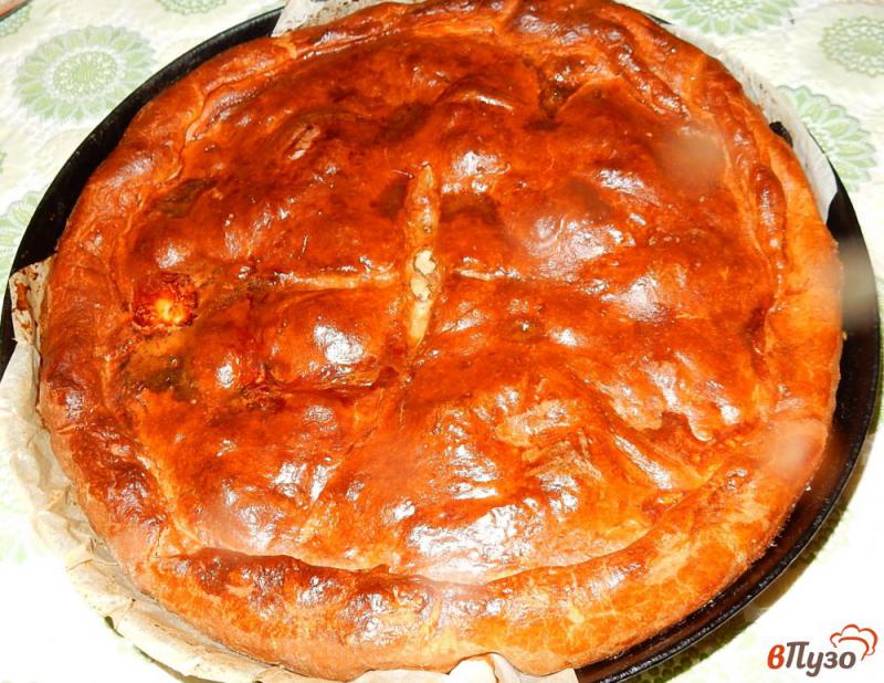 Фото приготовление рецепта: Пирог с куриным мясом шаг №12