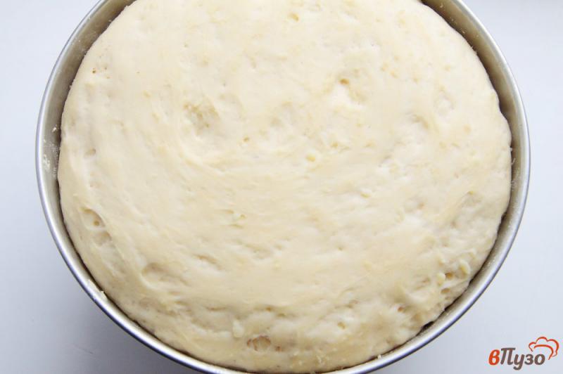 Фото приготовление рецепта: Булочки на картофельном пюре шаг №7