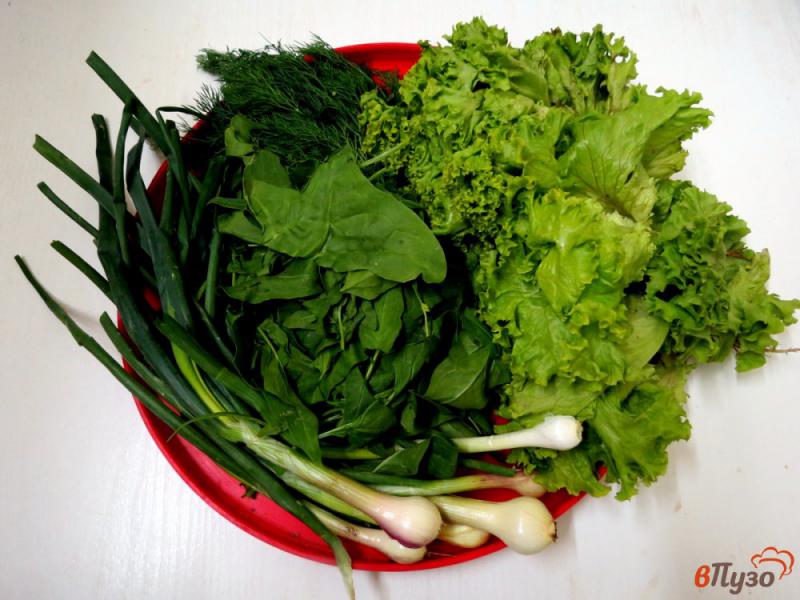 Фото приготовление рецепта: Салат из весенней зелени шаг №1