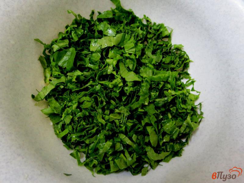 Фото приготовление рецепта: Салат из весенней зелени шаг №3