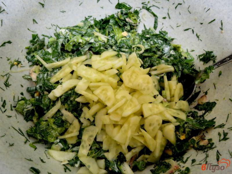 Фото приготовление рецепта: Салат из весенней зелени шаг №9