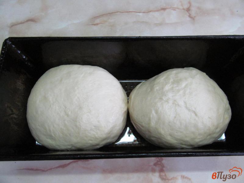 Фото приготовление рецепта: Хлеб на молоке шаг №15