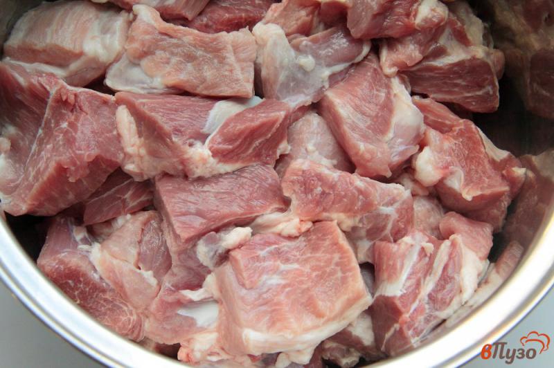 Фото приготовление рецепта: Шашлык из свинины с уксусом и луком шаг №1