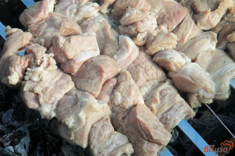 Фото приготовление рецепта: Шашлык из свинины с уксусом и луком шаг №5