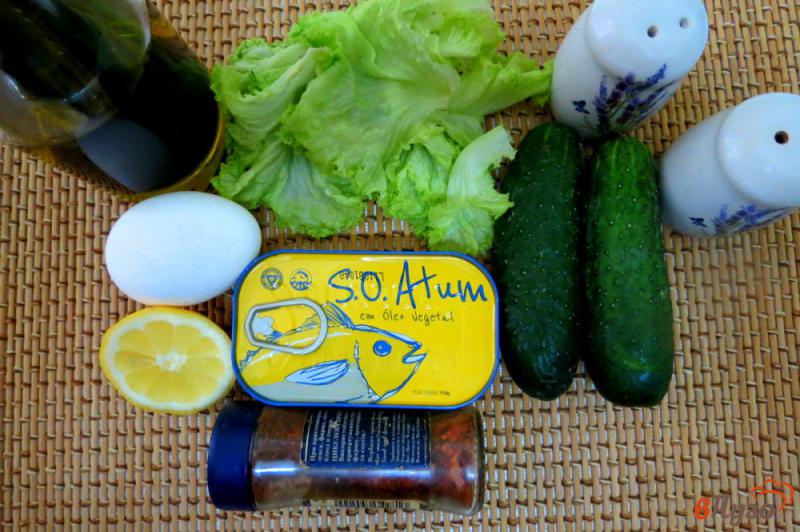 Фото приготовление рецепта: Салат с тунцом, яйцом и огурцом шаг №1