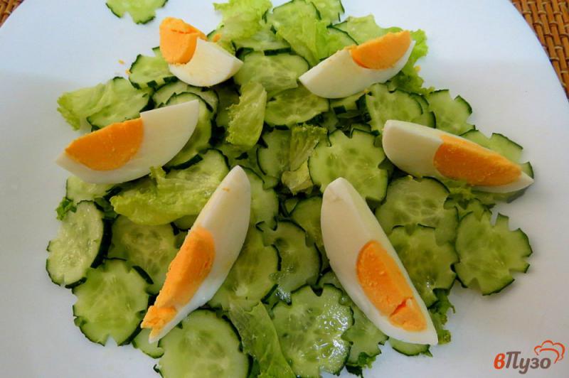 Фото приготовление рецепта: Салат с тунцом, яйцом и огурцом шаг №5