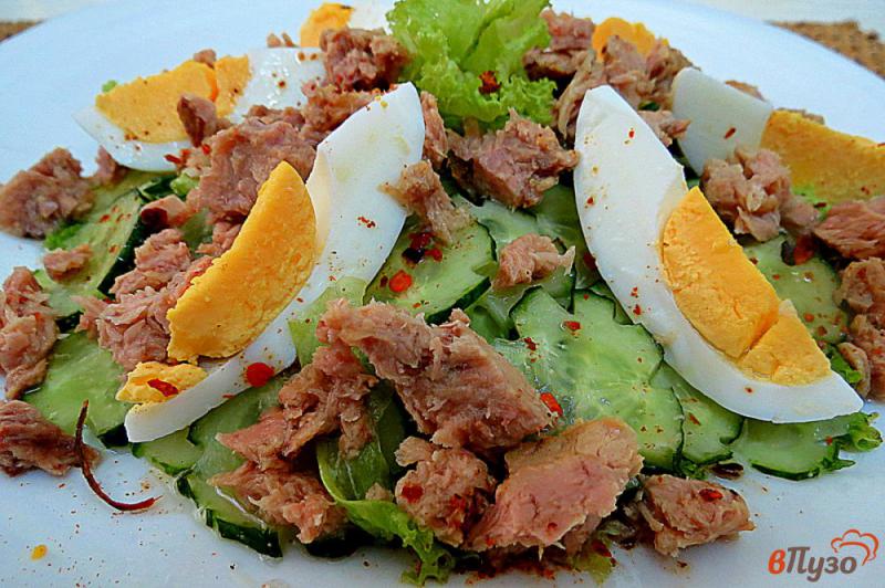 Фото приготовление рецепта: Салат с тунцом, яйцом и огурцом шаг №7
