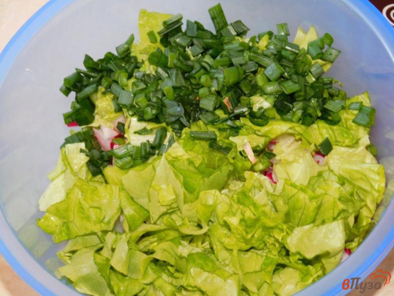 Фото приготовление рецепта: Салат с редисом и зеленью шаг №3