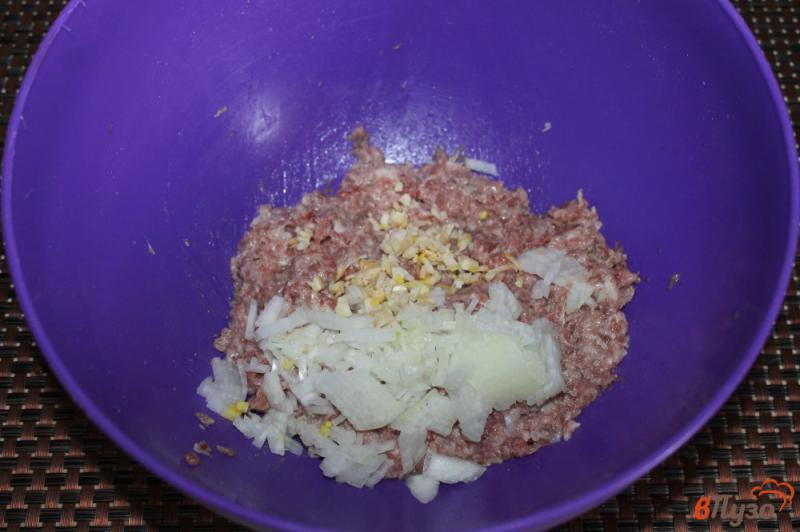 Фото приготовление рецепта: Свиные котлеты с кинзой и луком шаг №2