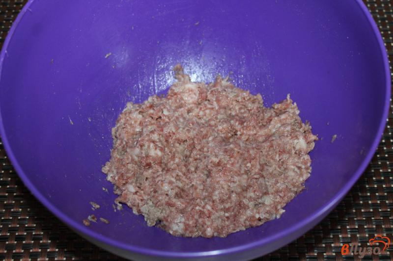 Фото приготовление рецепта: Свиные котлеты с кинзой и луком шаг №1