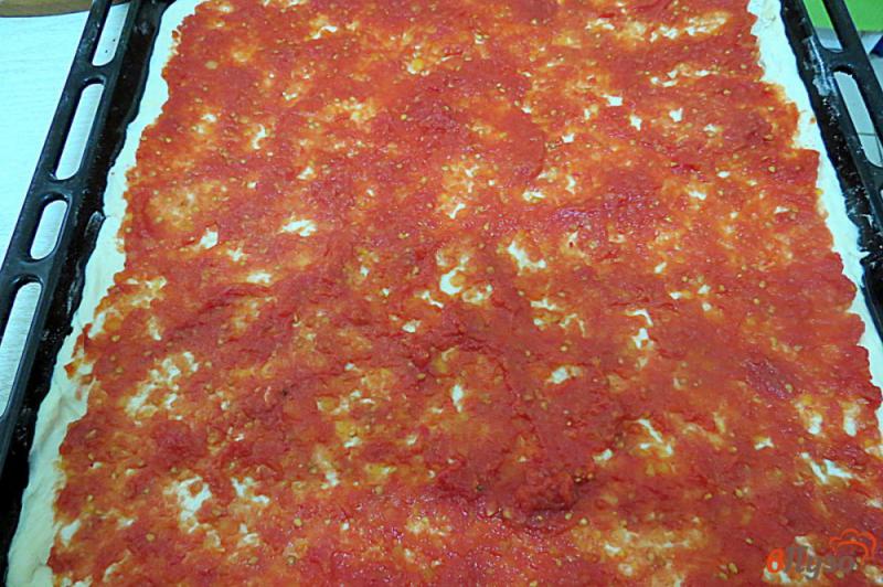 Фото приготовление рецепта: Пицца с салями, запеченными перцами и помидорами шаг №9