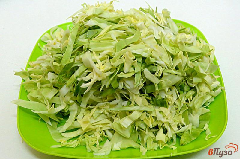 Фото приготовление рецепта: Зелёный суп с крапивой, капустой и рисом шаг №6