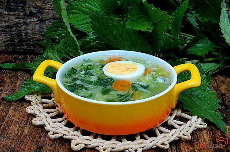 Фото приготовление рецепта: Зелёный суп с крапивой, капустой и рисом шаг №10