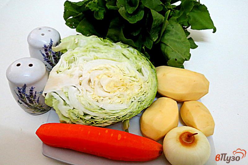 Фото приготовление рецепта: Щи зелёные с капустой и щавелем шаг №1