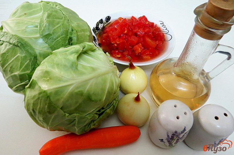 Фото приготовление рецепта: Тушёная капуста с помидорами и сметаной шаг №1