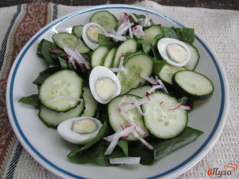 Фото приготовление рецепта: Салат из огурца с яйцами и шпинатом шаг №3
