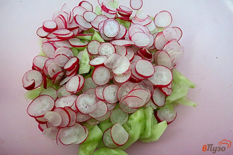 Фото приготовление рецепта: Салат из огурцов, редиса и крапивы шаг №5