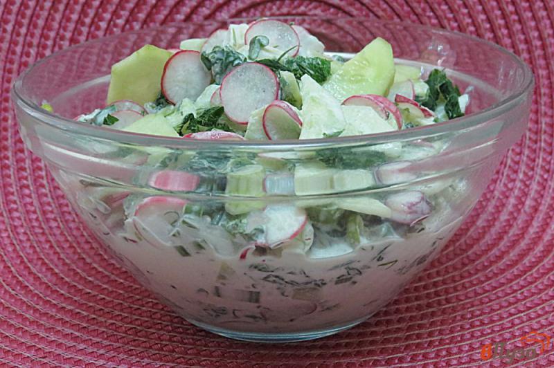 Фото приготовление рецепта: Салат из огурцов, редиса и крапивы шаг №9