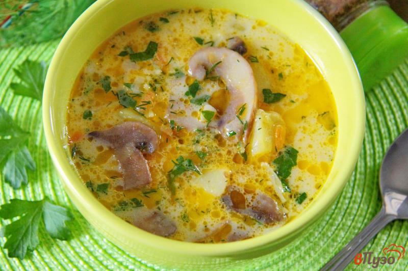 Фото приготовление рецепта: Сырный суп с грибами и вермишелью шаг №8