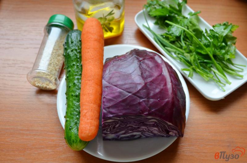 Фото приготовление рецепта: Очищающий салат из краснокочанной капусты шаг №1