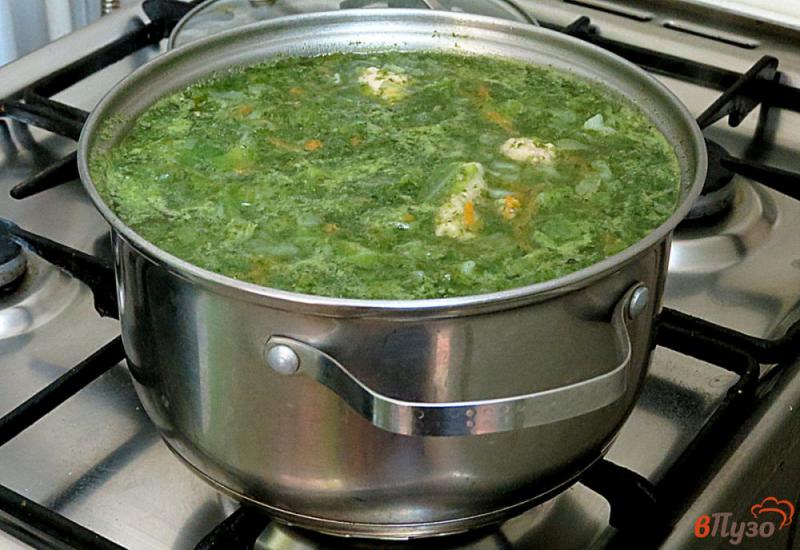 Фото приготовление рецепта: Суп с фрикадельками капустой и шпинатом шаг №9