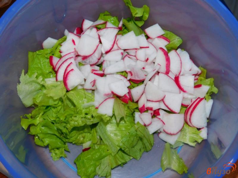 Фото приготовление рецепта: Салат витаминный, весенний шаг №2