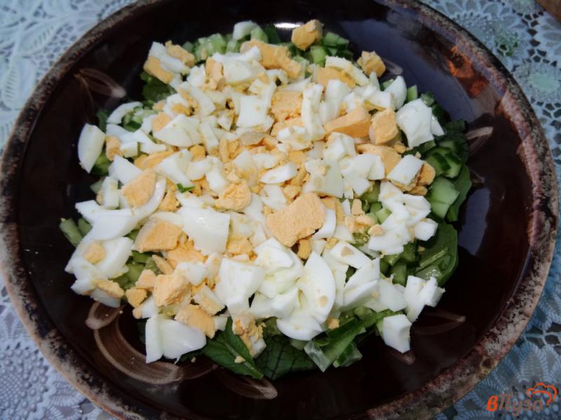 Фото приготовление рецепта: Салат с тунцом и крекерами шаг №3