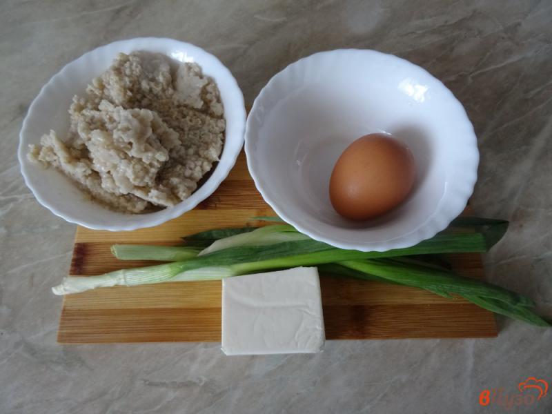 Фото приготовление рецепта: Овсяные котлетки с сыром и луком шаг №1