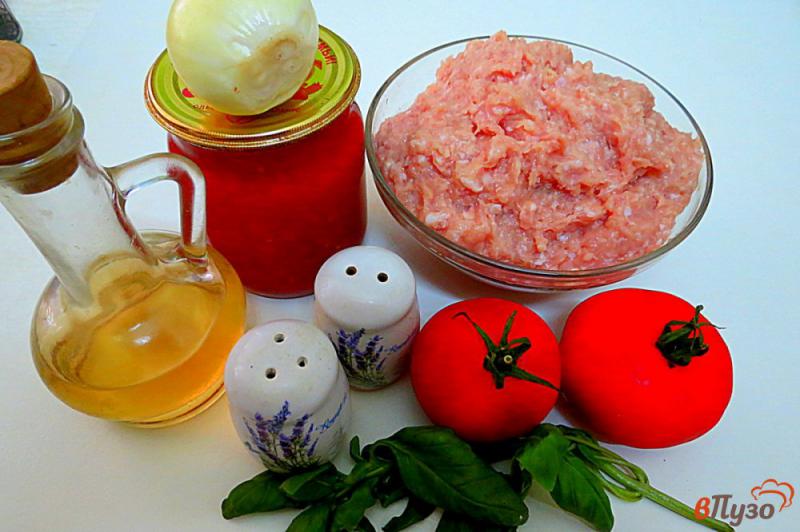 Фото приготовление рецепта: Тефтели в соусе из помидор шаг №1