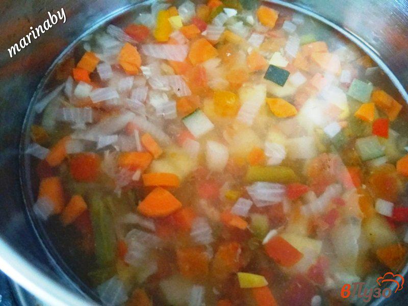 Фото приготовление рецепта: Овощной суп с индейкой шаг №6