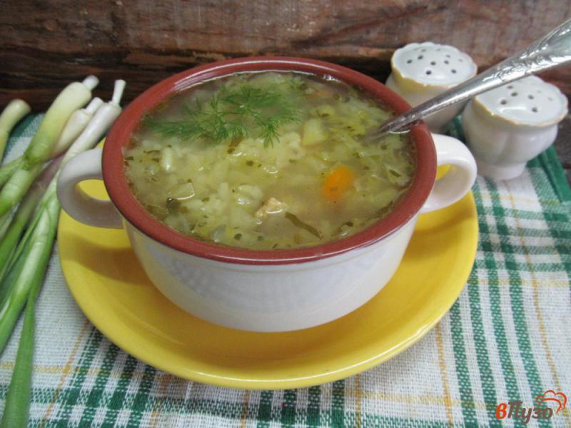 Фото приготовление рецепта: Суп на свинине с овощами и рисом шаг №7