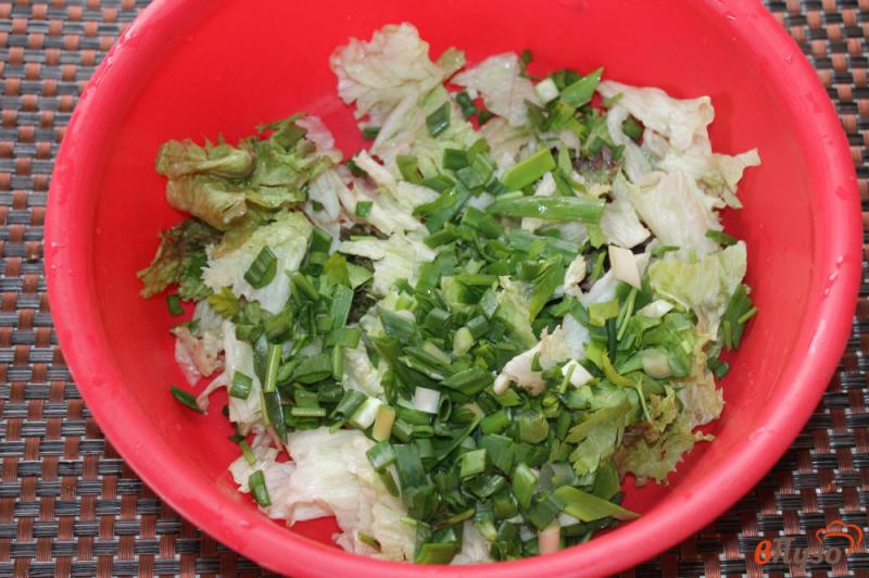 Фото приготовление рецепта: Салат из листовой зелени с овощами и луком шаг №2