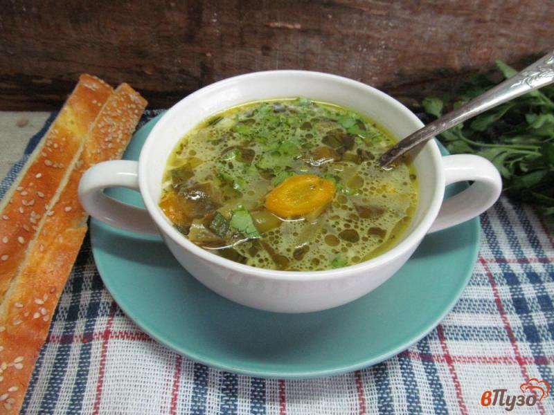 Фото приготовление рецепта: Куриный суп со спаржевой фасолью и щавелем шаг №9