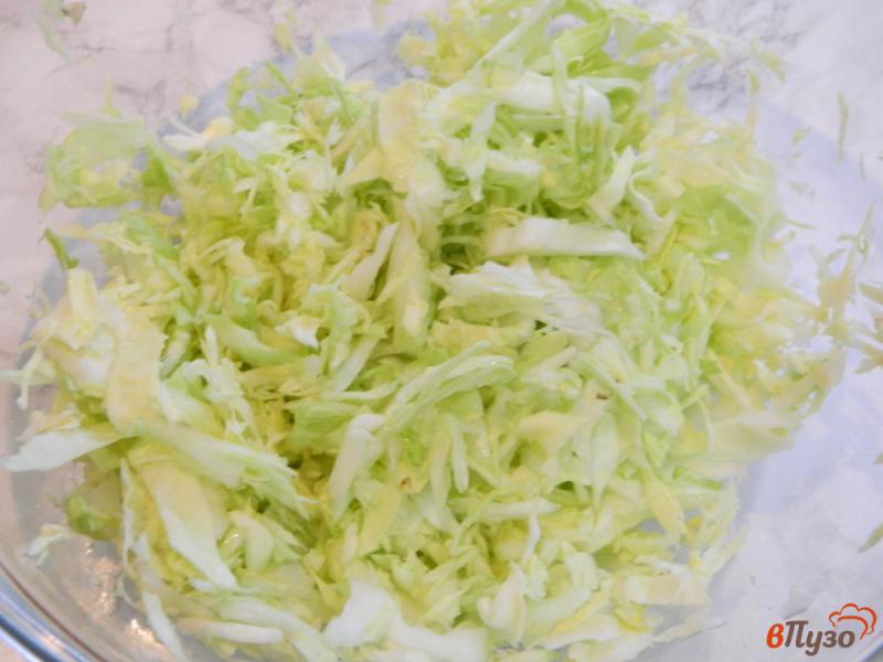 Фото приготовление рецепта: Салат с капустой, оливками и моцареллой шаг №1