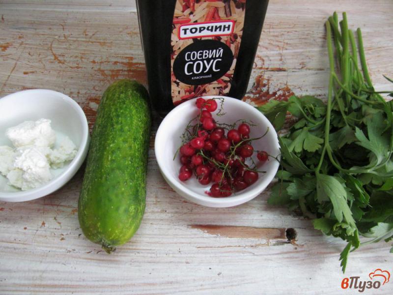 Фото приготовление рецепта: Огуречный салат с красной смородиной шаг №1