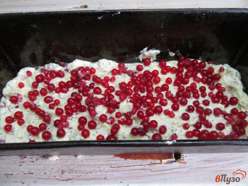 Фото приготовление рецепта: Кекс с красной смородиной и маком шаг №6